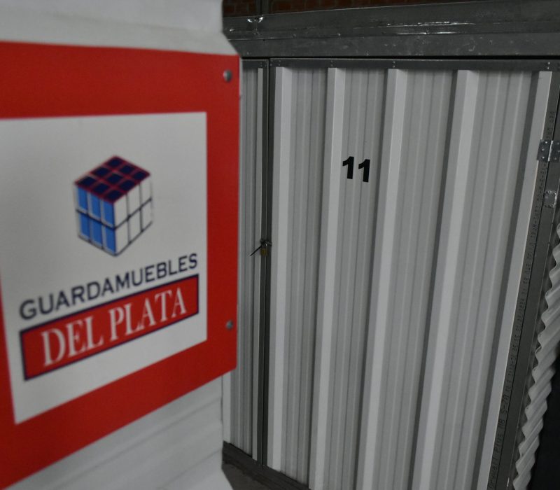 guardamuebles-del-platabauleras-del-plata-guardamuebles-interior-FOTO19B.png
